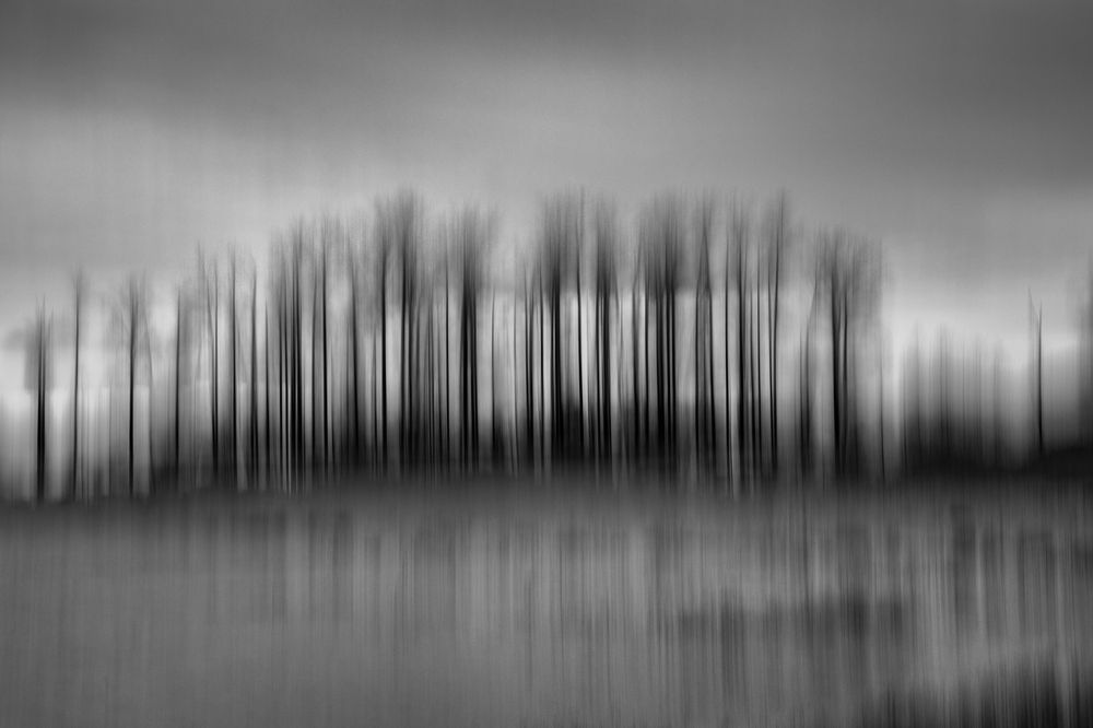 Фотография автора SEYED REZA Kalali Sjavand