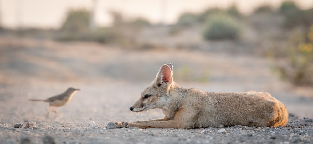 Photograph by somil makadia