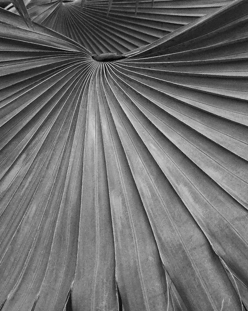 Фотография автора Wilson Mendes fh