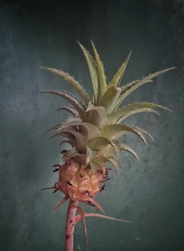 Фотография автора Wilson Mendes fh