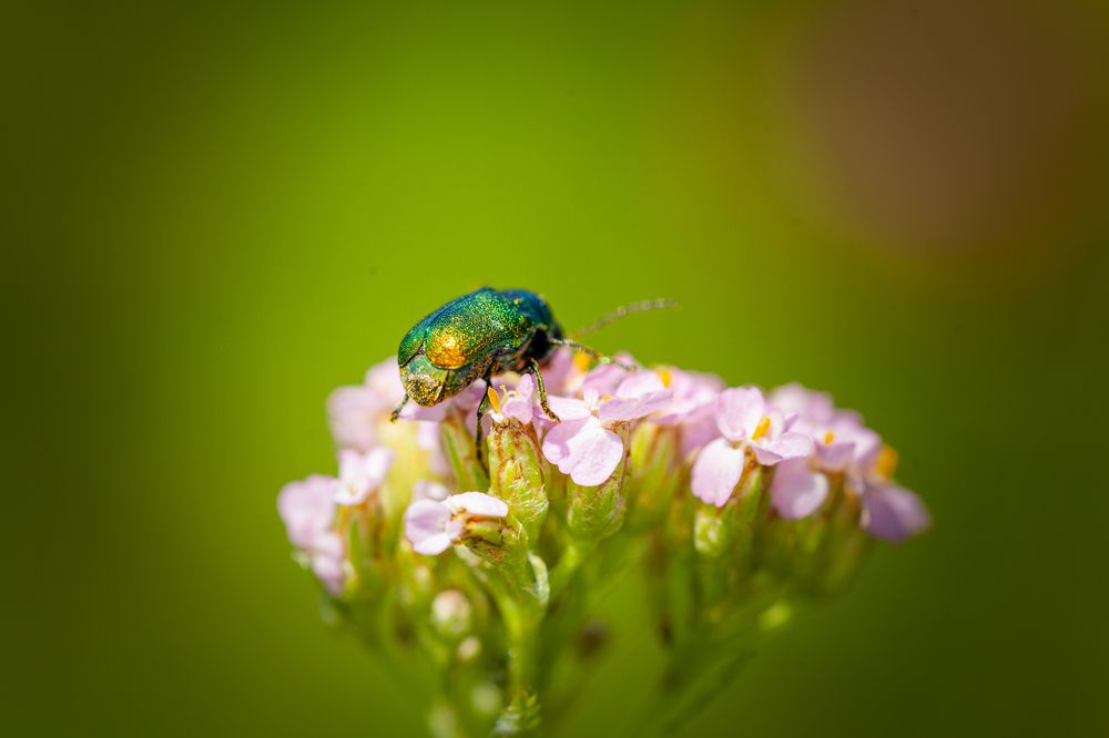 Photograph by Денис Дорошенко