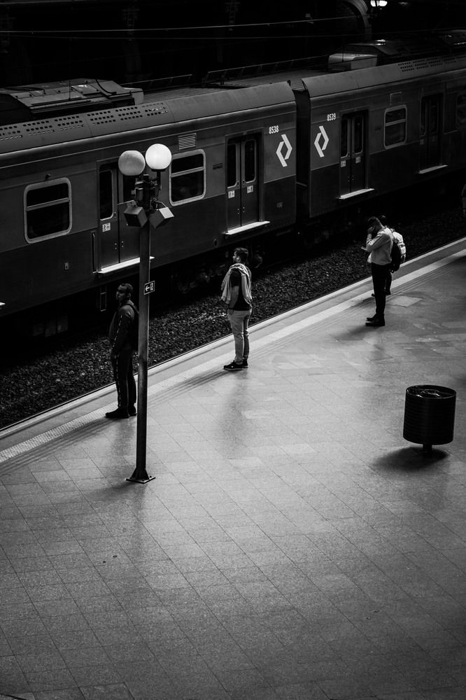 Фотография автора Marcelo Vaz