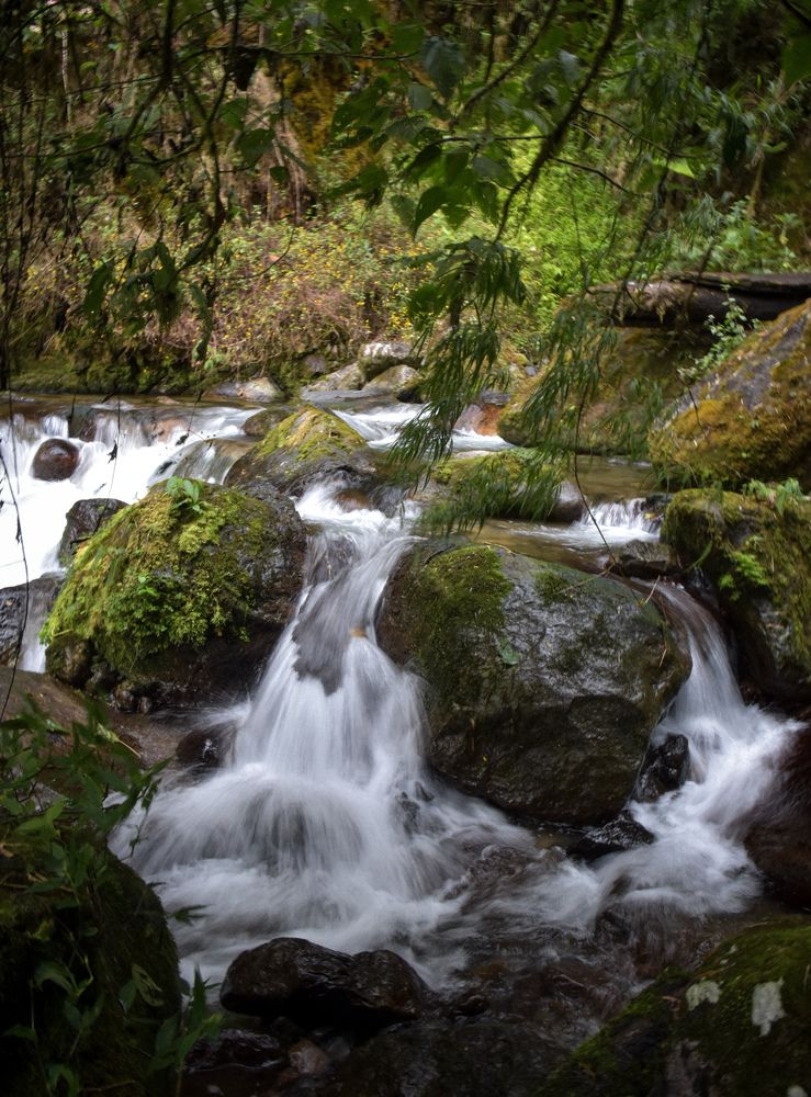 Photograph by Maria Volnova