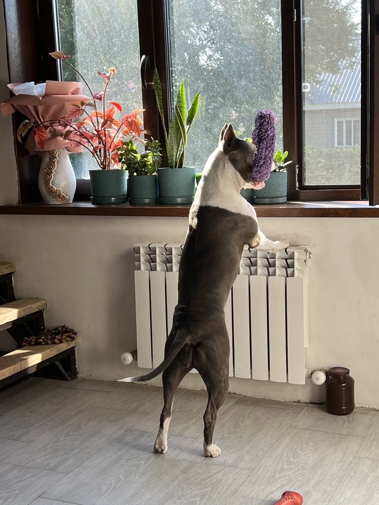 Photograph by Наталья Старостенко