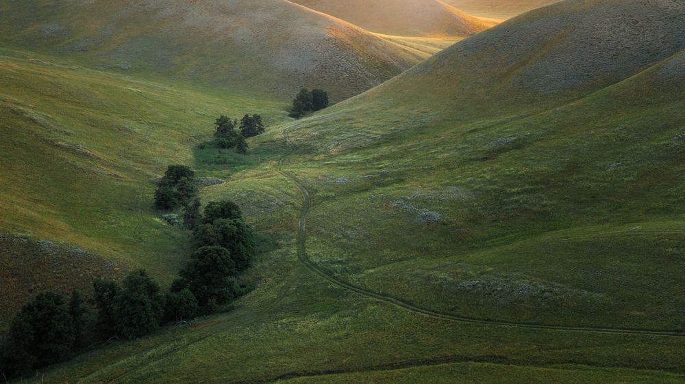 Photograph by Vyacheslav Bolyakin