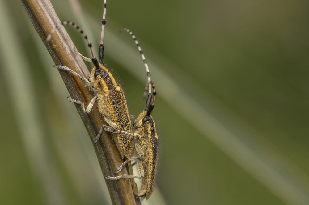 Фотография автора Nikolay Tatarchuk