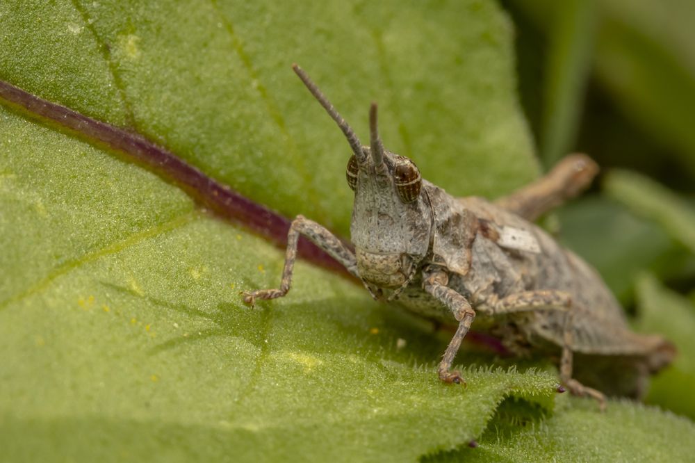 Фотография автора Nikolay Tatarchuk