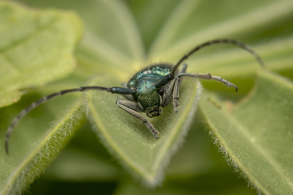Фотография автора Nikolay Tatarchuk