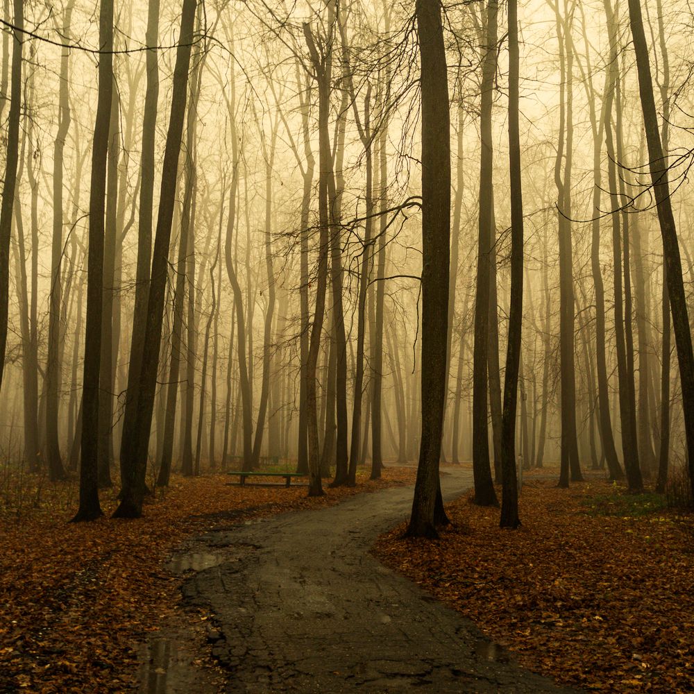 Фотография автора Александр Андреянов