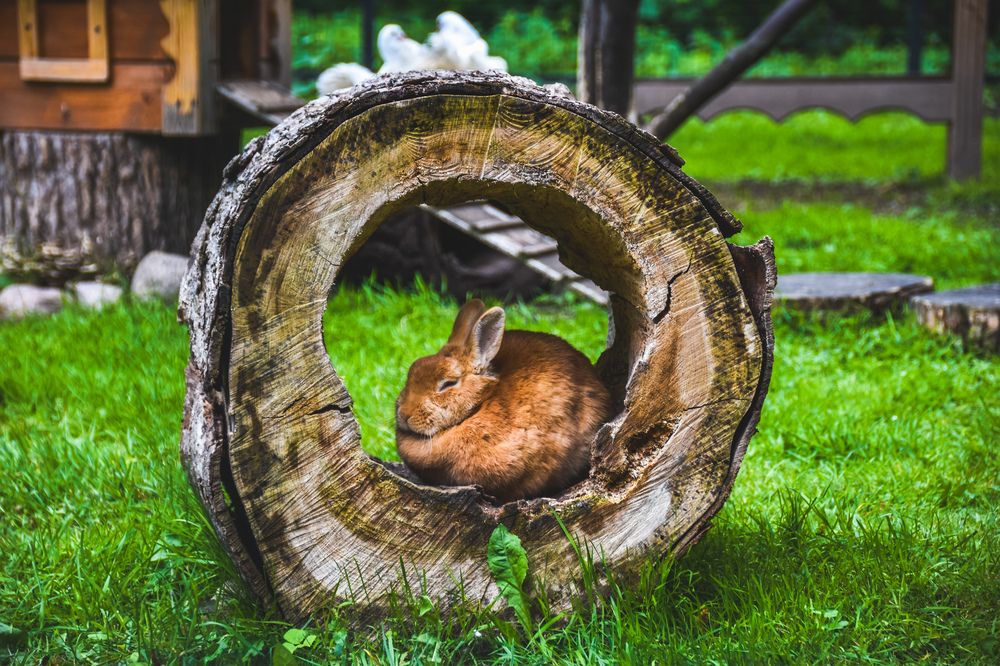 Фотография автора Кристина Шефер