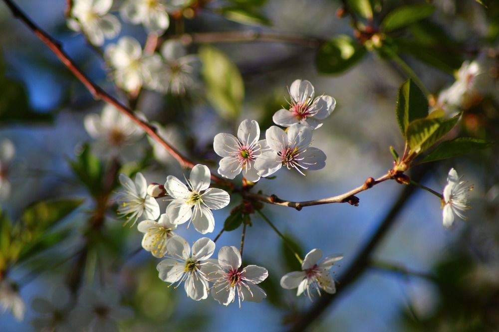 Photograph by Елена Наленч