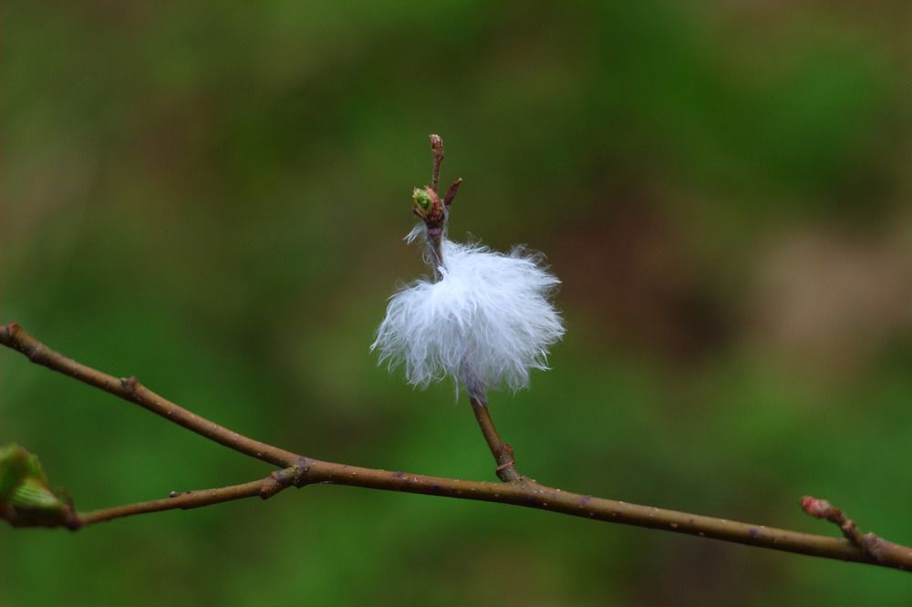 Photograph by Елена Наленч