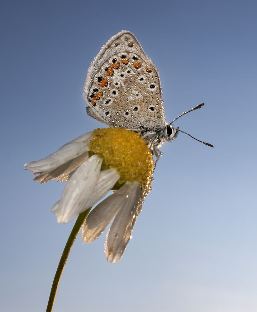 Photograph by Людмила Железнова