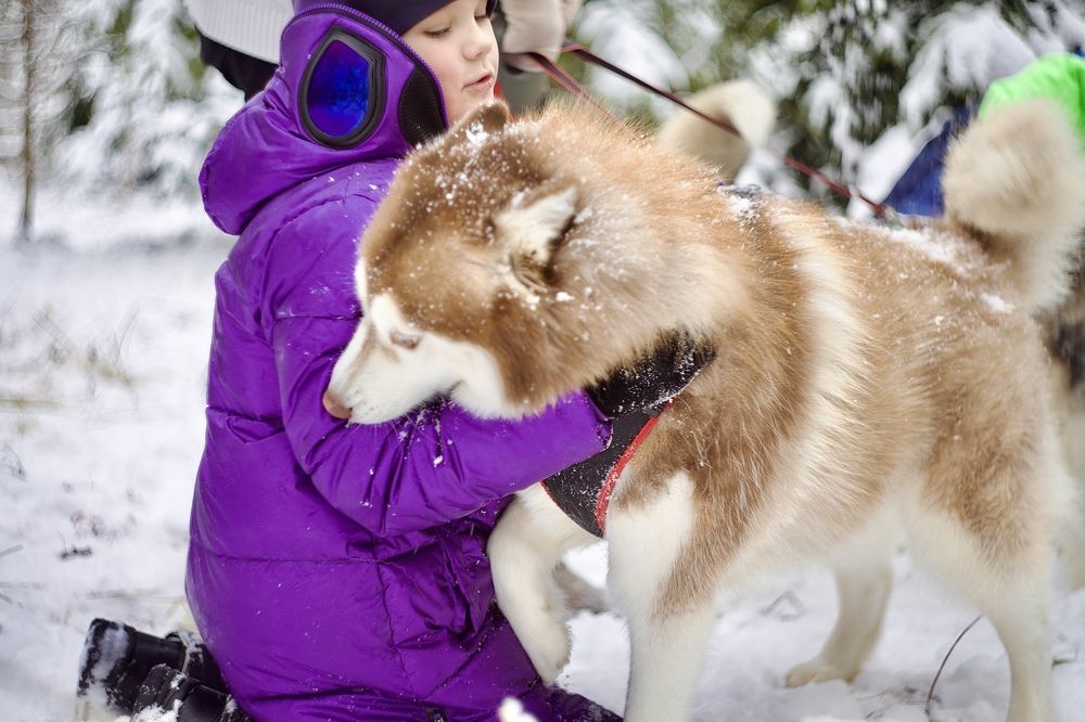 Photograph by LarisaMostseeva