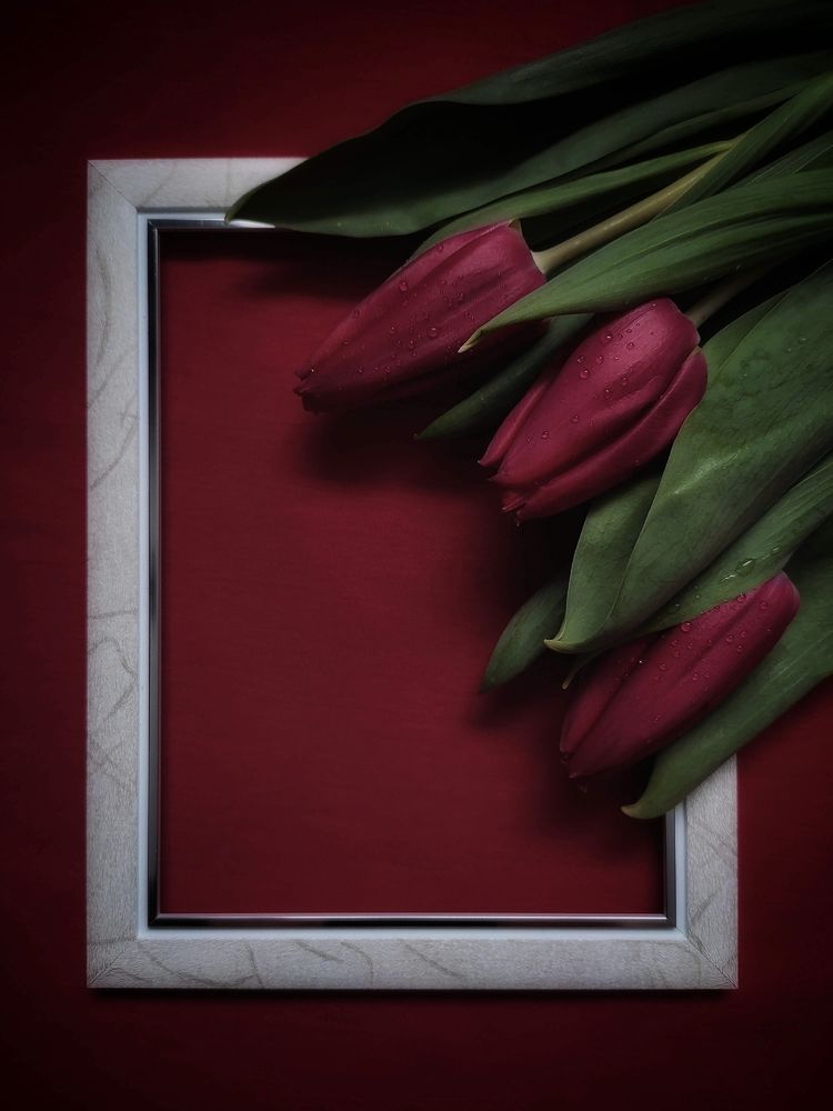 Photograph by Олеся