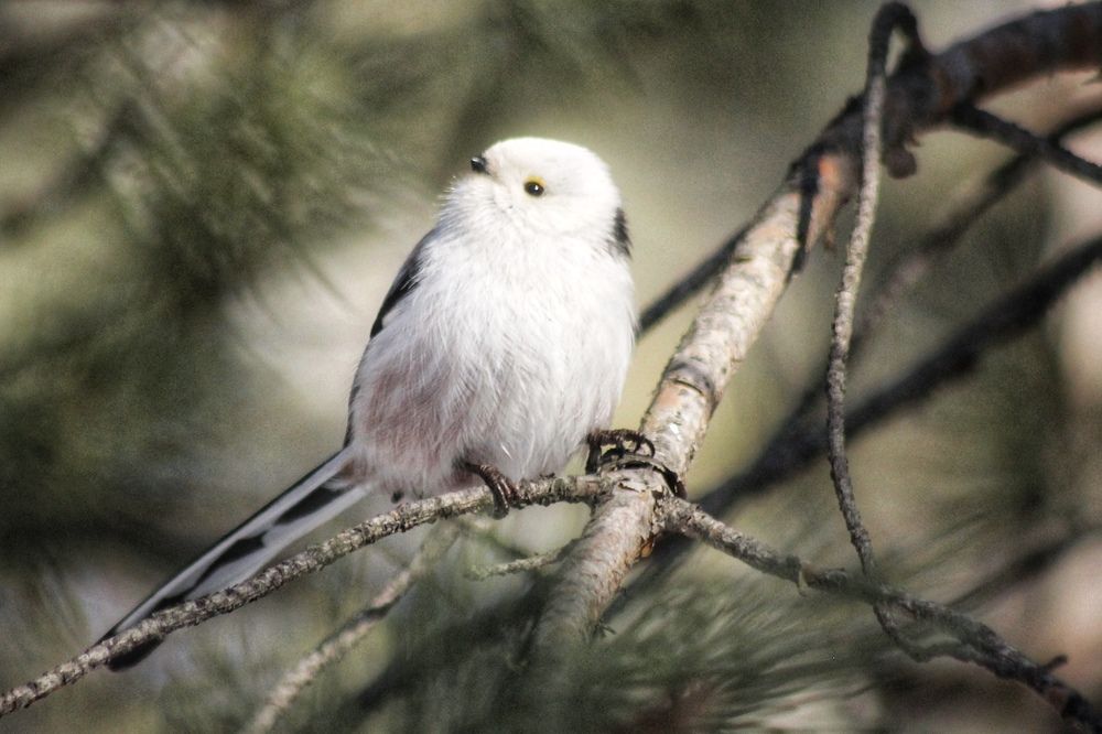 Photograph by Астафьева Анастасия