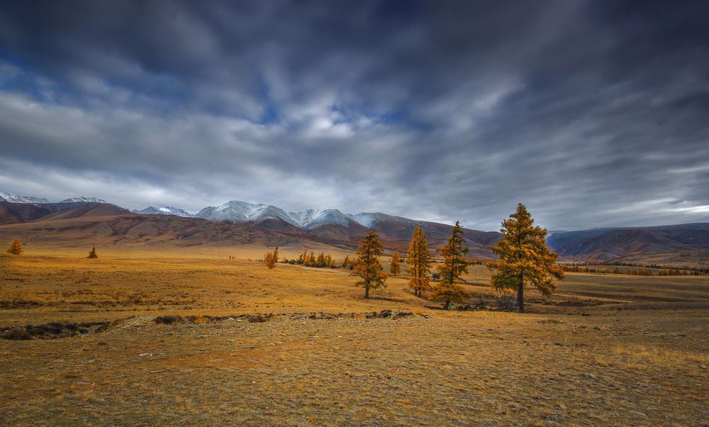 Photograph by Чичкин Валерий