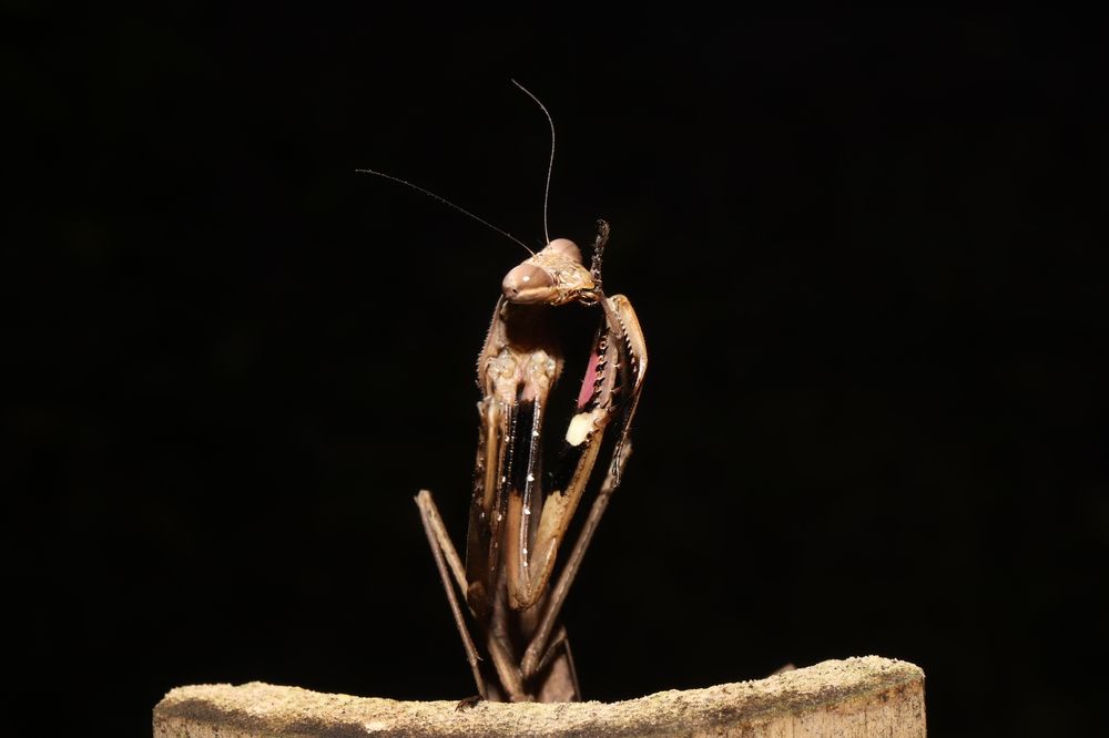 Photograph by Se Lena