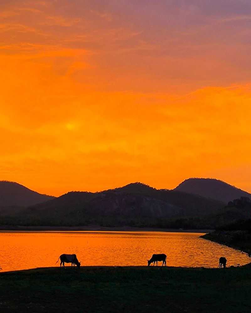 Photograph by Smruti Ranjan Das