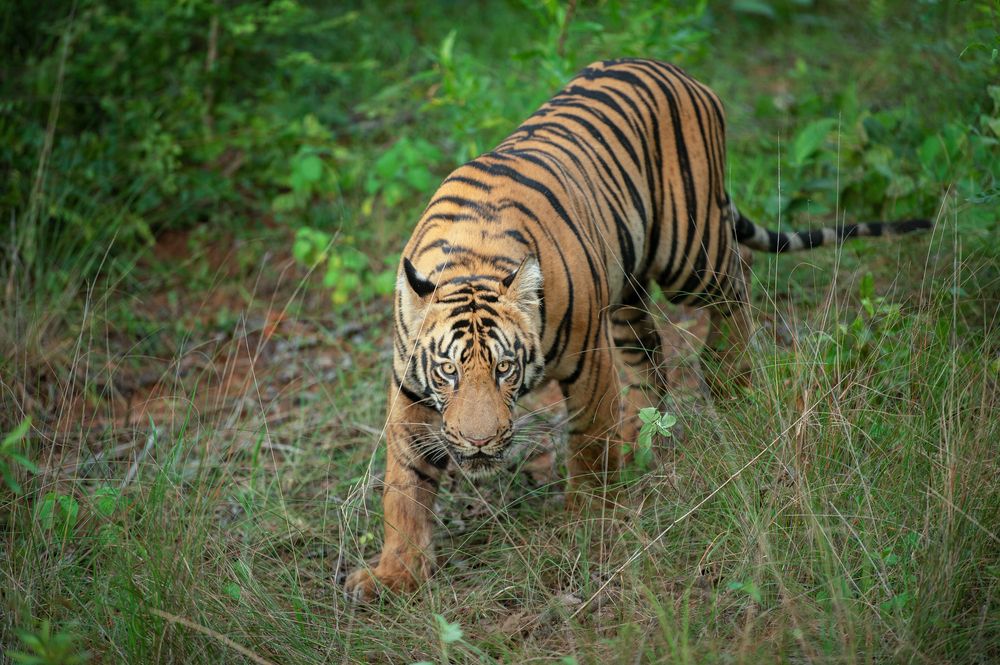 Photograph by Gade Neeraj