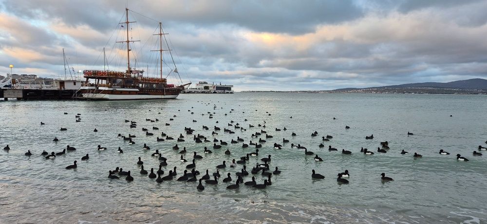 Фотография автора Ольга Мусина