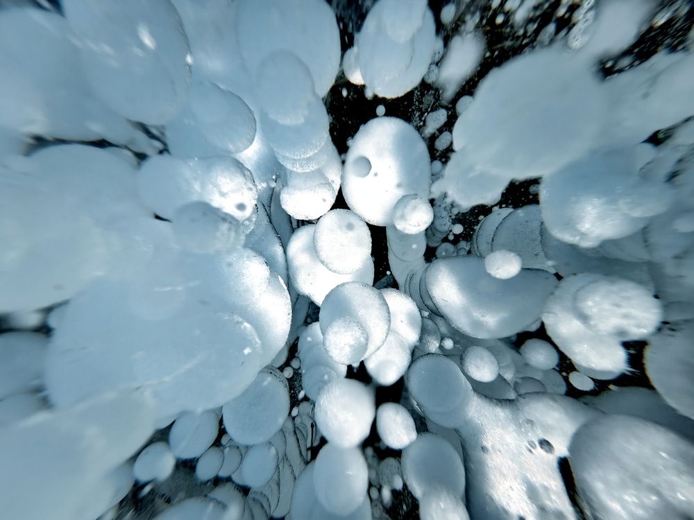 Фотография автора Максим Тельтевский