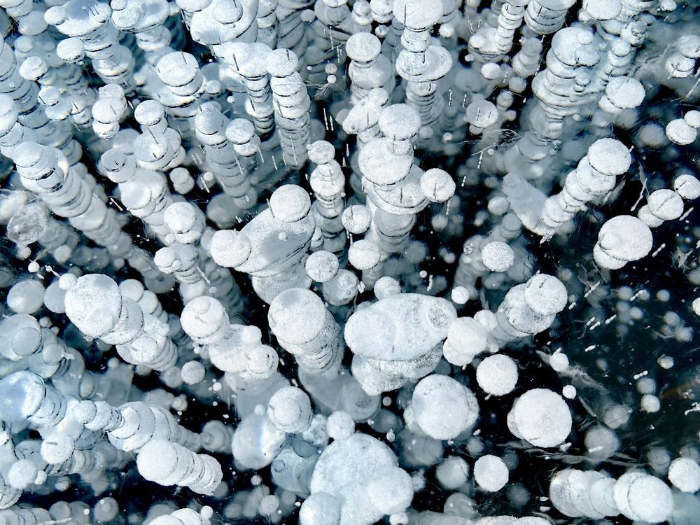 Фотография автора Максим Тельтевский