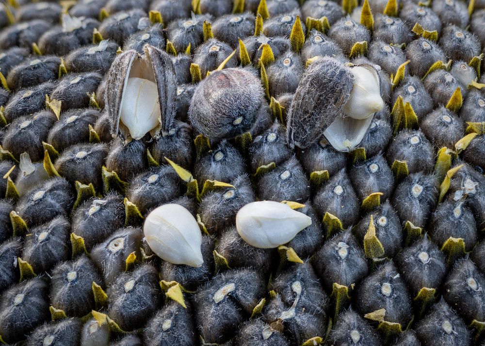 Photograph by Высотских Владимир