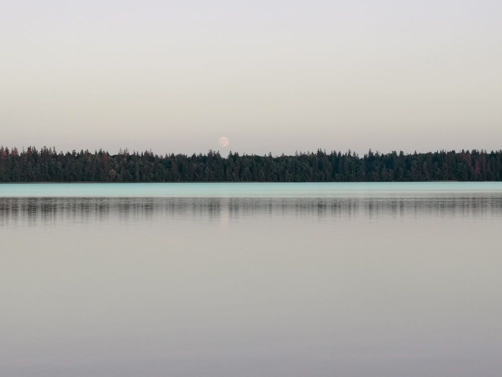 Фотография автора Мария