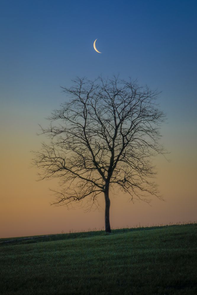 Photograph by photo_booooy