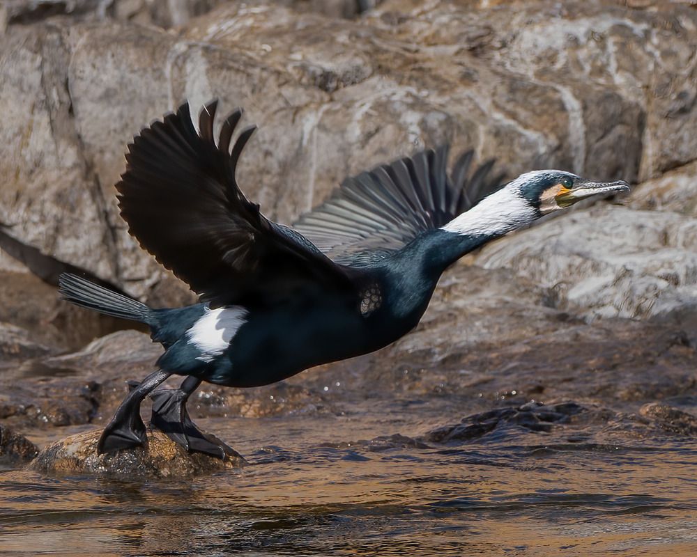 Photograph by Dina Eid