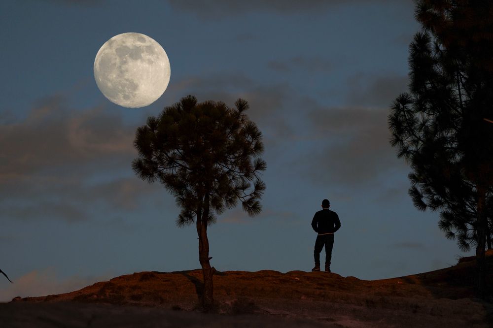 Photograph by Fassi Farooq