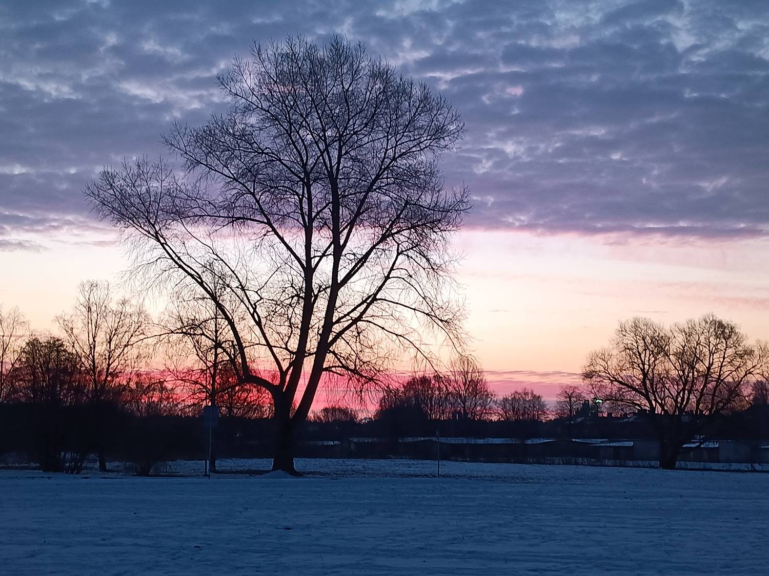 Photo #11982884