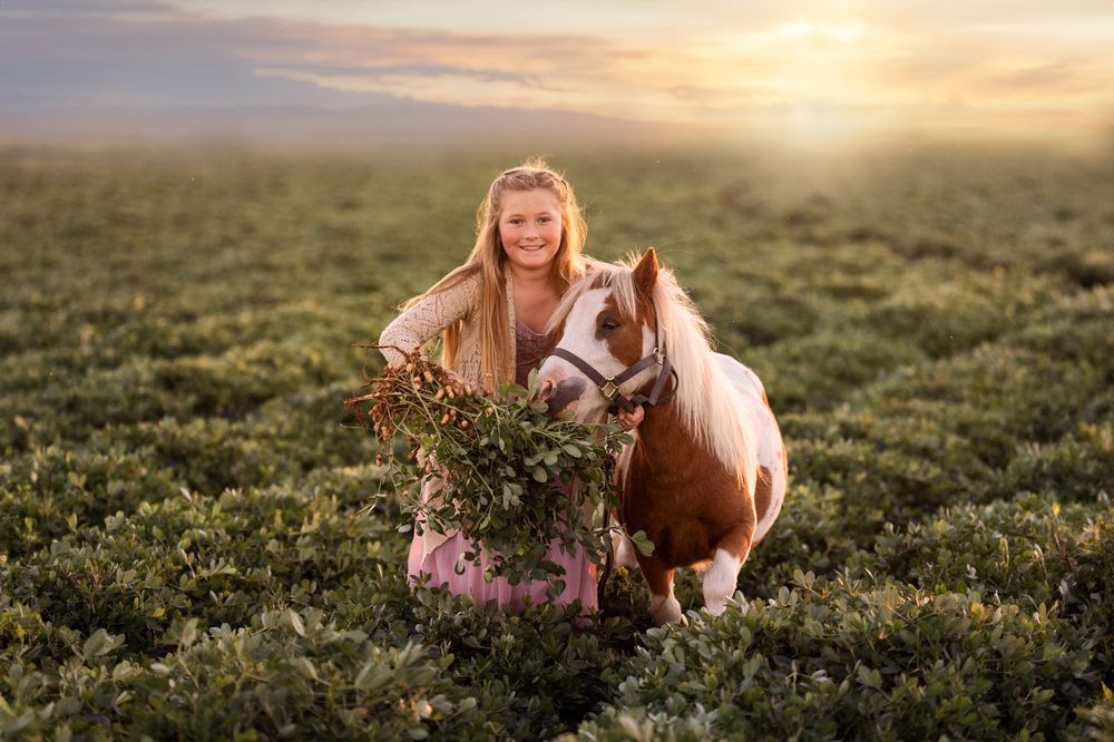 Photograph by Angie Perisse