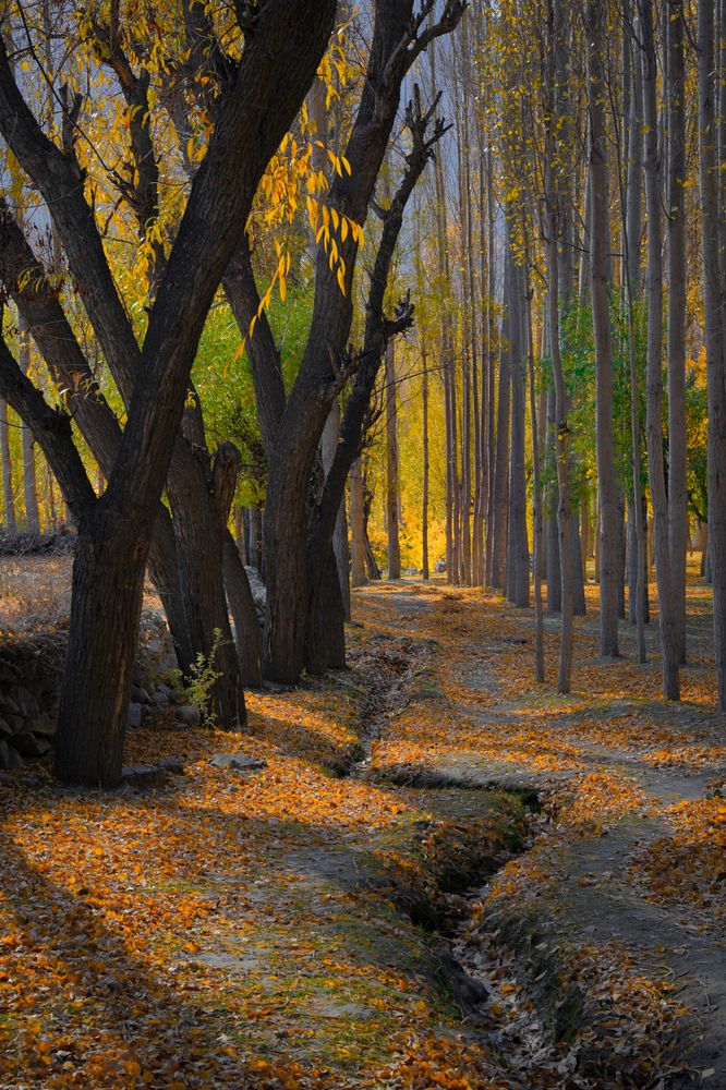 Photograph by Fassi Farooq