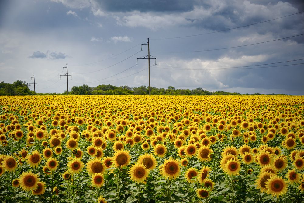 Photograph by Высотских Владимир