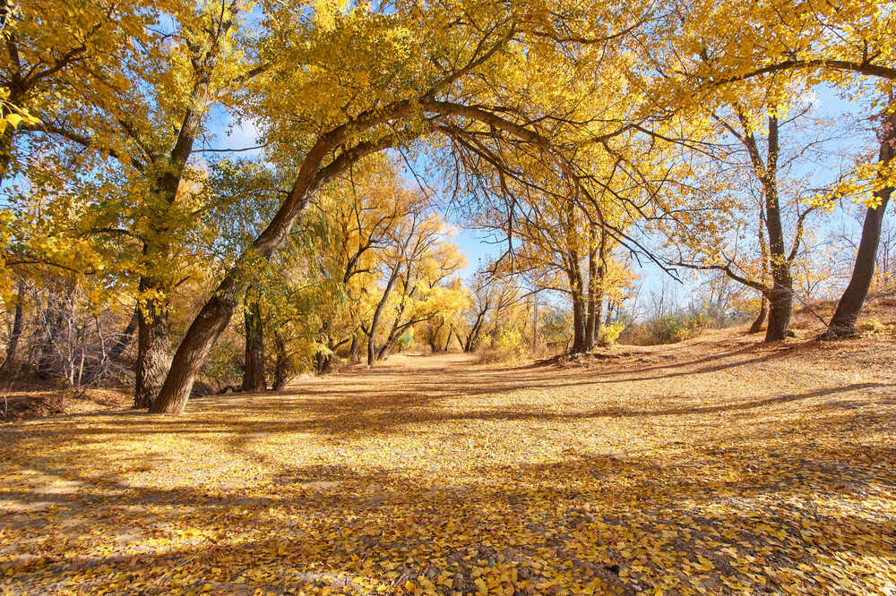 Photograph by Павел Сторчилов