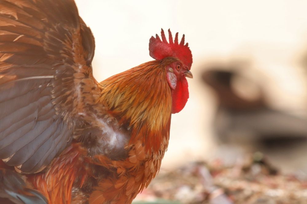 Фотография автора Washiful Majid