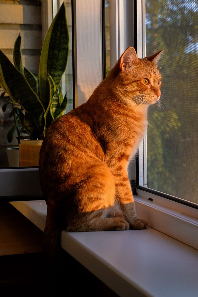 Photograph by Эдуард Шадров