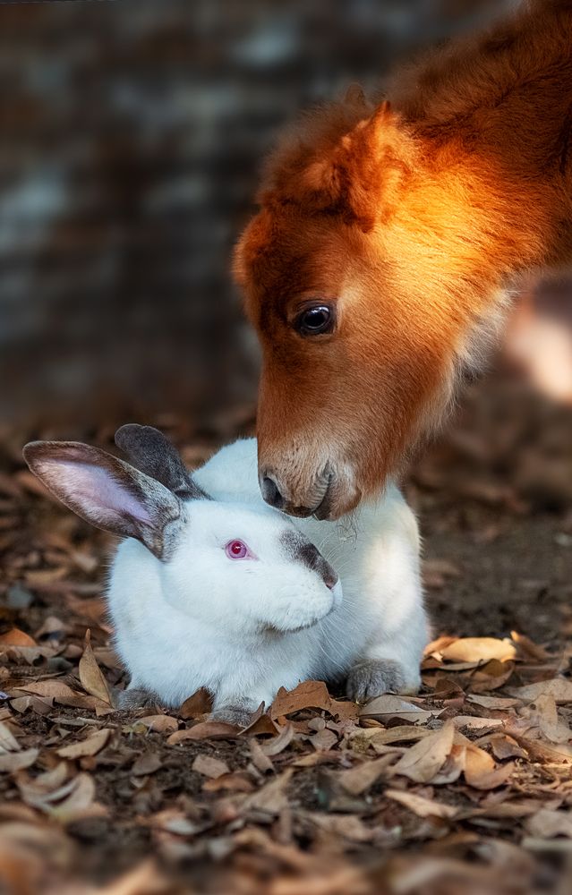 Photograph by Короткевич Валерия