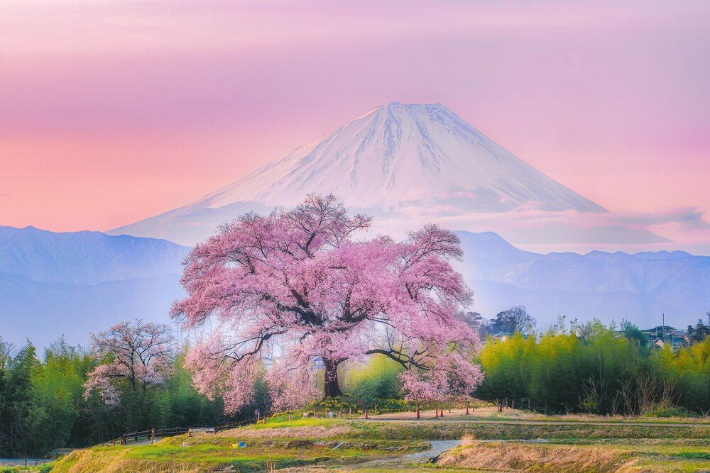 Фотография автора Nguyen Khac Tien