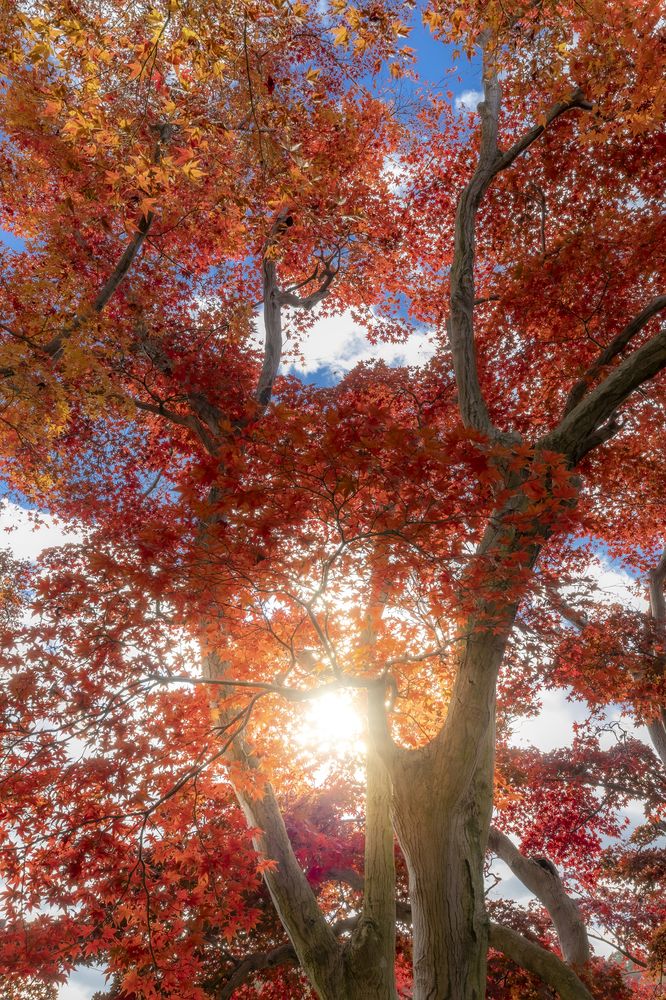 Photograph by photo_booooy