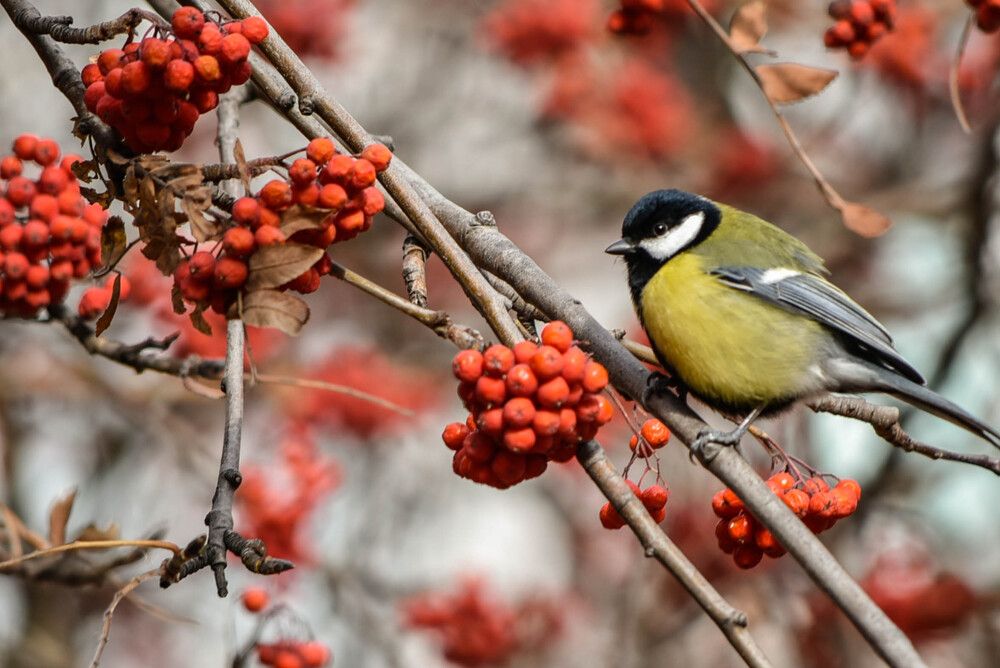 Photograph by Наталья Сорокина