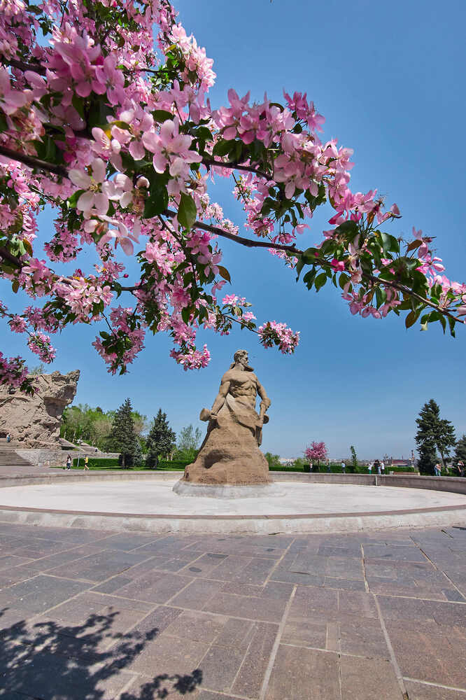 Photograph by Павел Сторчилов