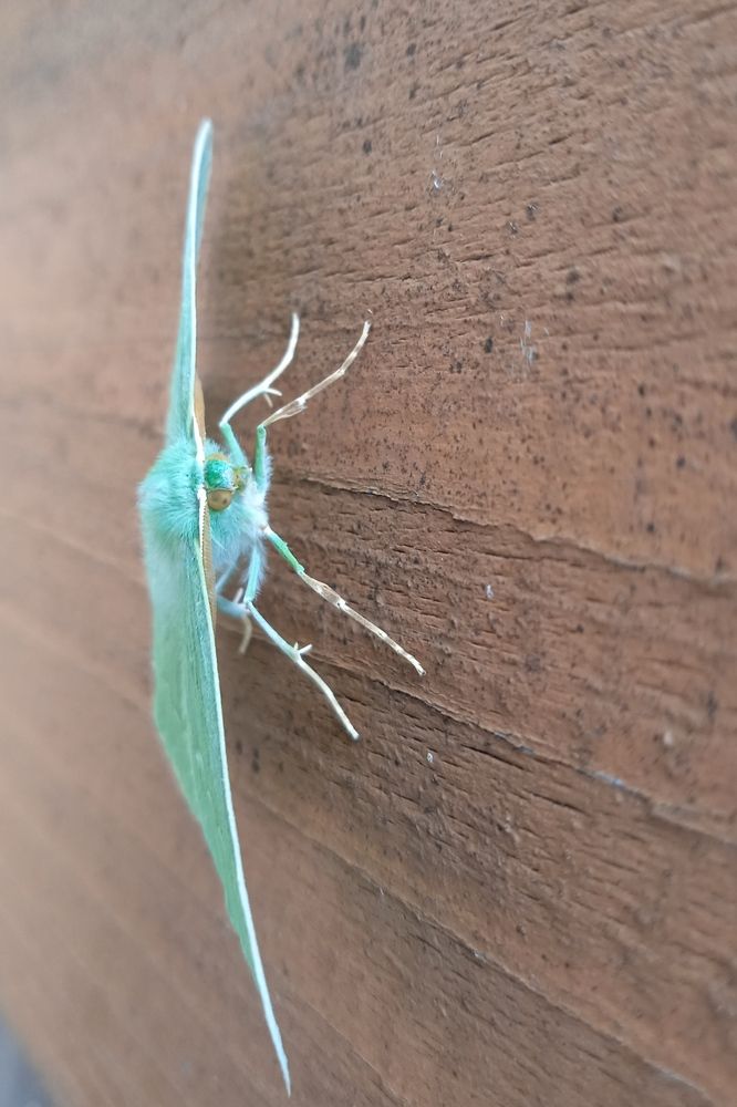 Photograph by Наталья Сорокина