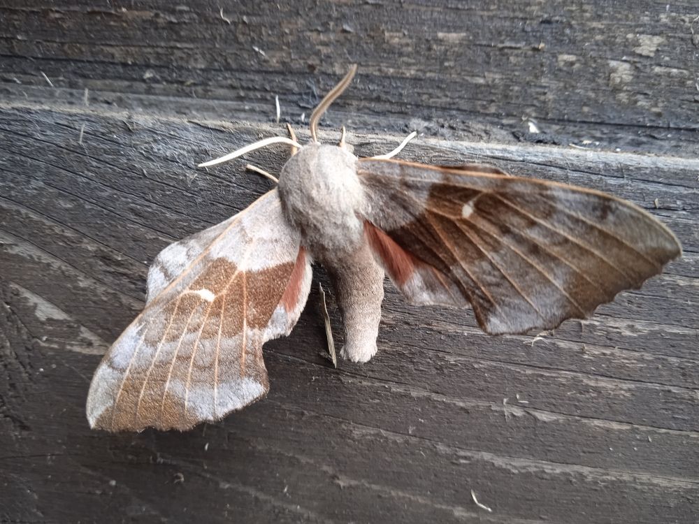 Photograph by Наталья Сорокина