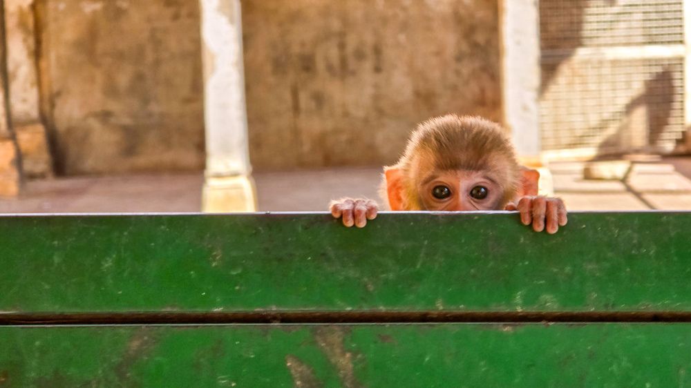 Photograph by Abhishek Shivhare