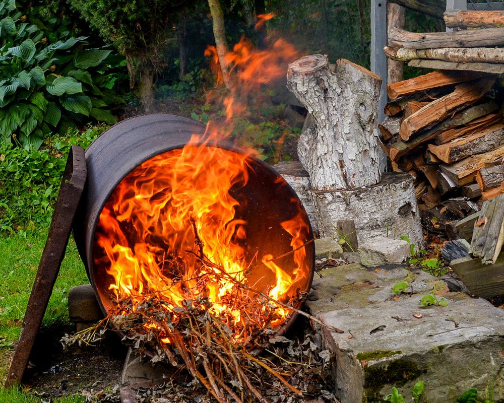 Photograph by Эдуард Шадров