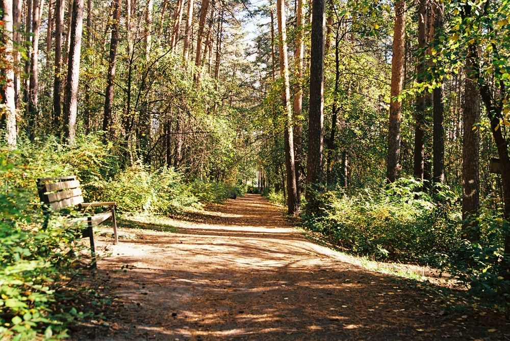 Photograph by Михаил Васьков