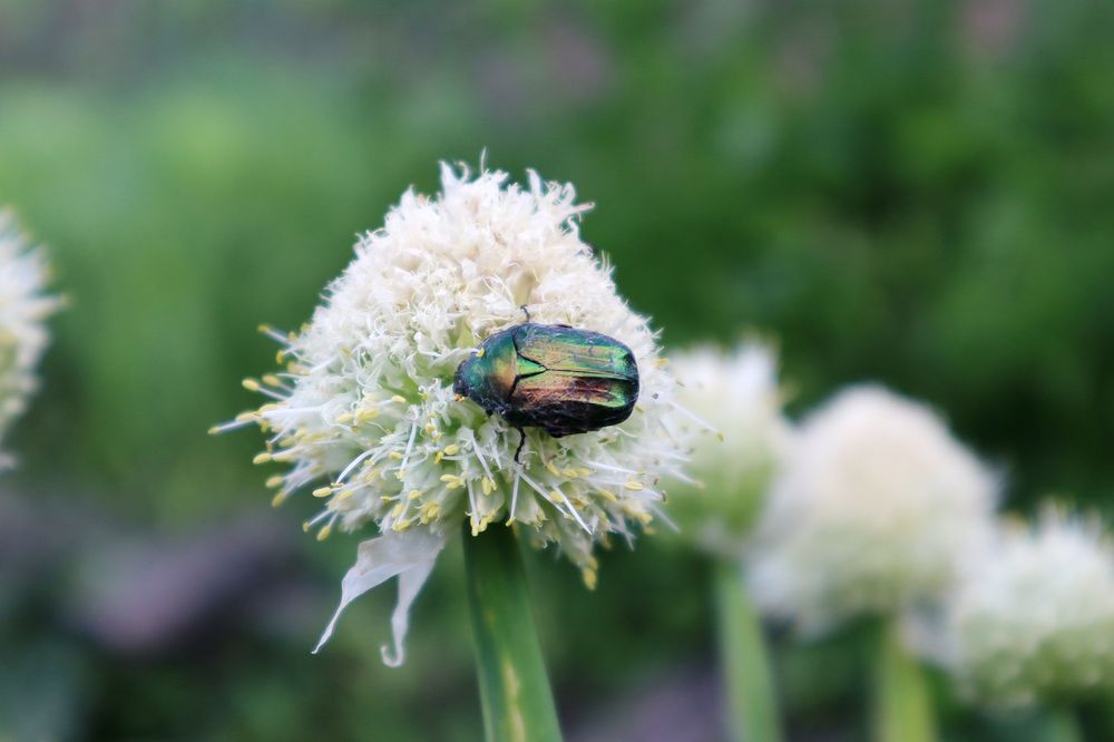 Photograph by Евгения